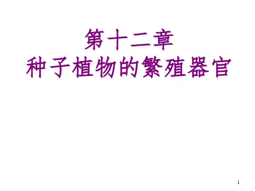 植物的繁殖器官——果实