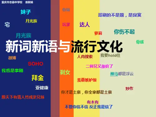 流行的新语新词