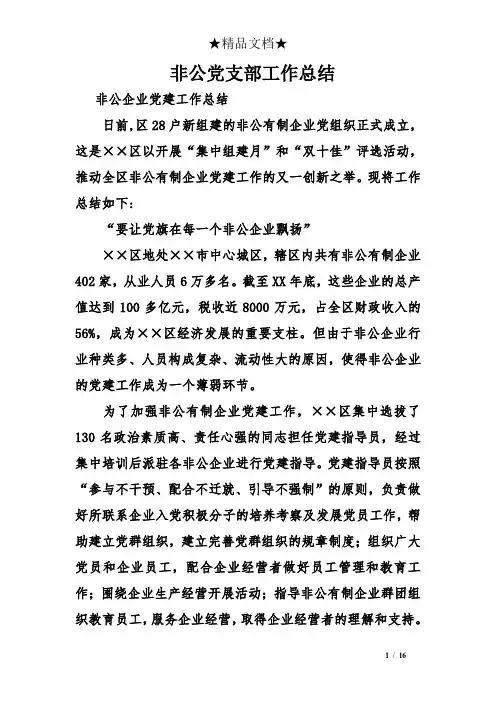 非公党支部工作总结