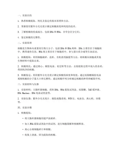核酸的鉴定实验报告