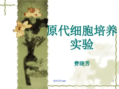 《原代细胞培养实验》PPT课件