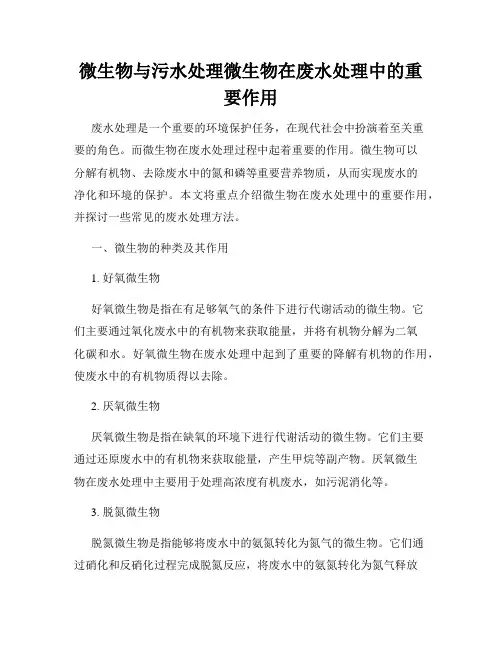 微生物与污水处理微生物在废水处理中的重要作用