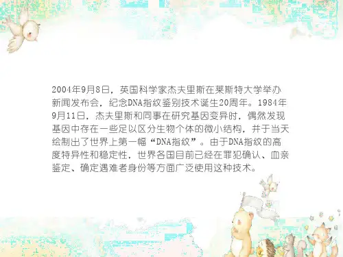 核酸的结构和功能教学课件