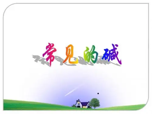 常见的碱