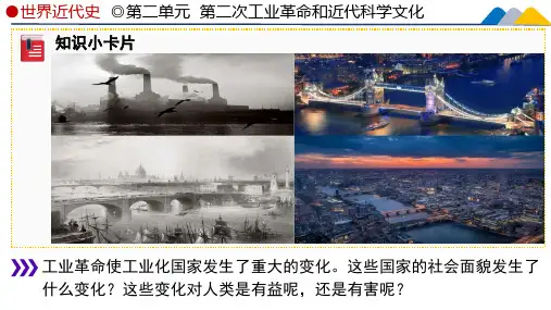 2.6工业化国家的社会变化课件-统编版九年级历史下册
