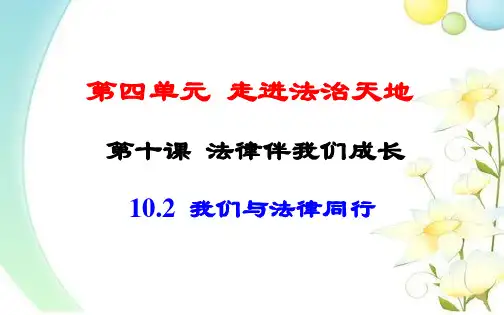 人教版道德和法治七年级下册 10.2 我们和法律同行 课件(共14张PPT)