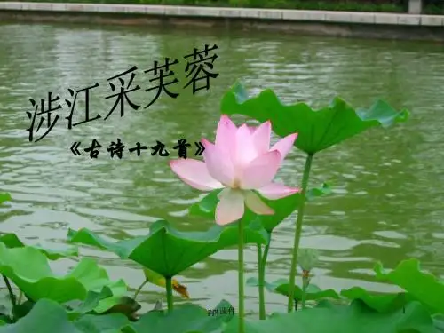《涉江采芙蓉》优秀课件  ppt课件