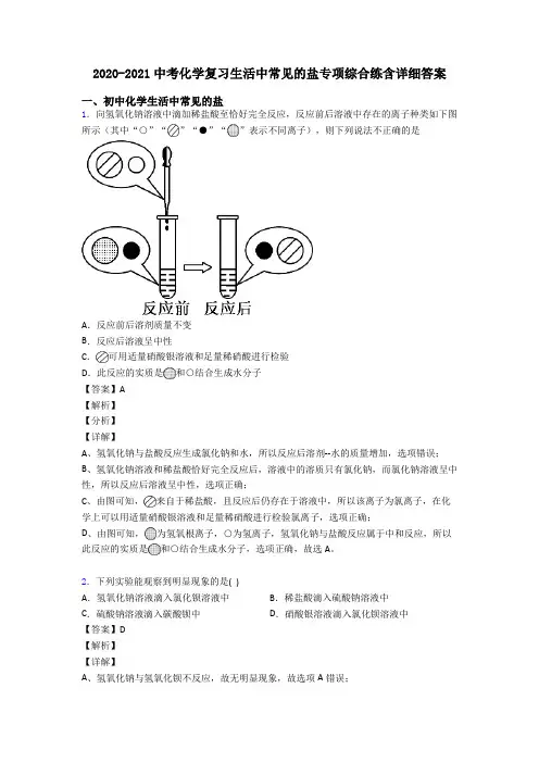2020-2021中考化学复习生活中常见的盐专项综合练含详细答案