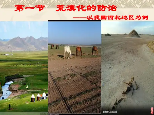 21荒漠化的危害与治理PPT课件