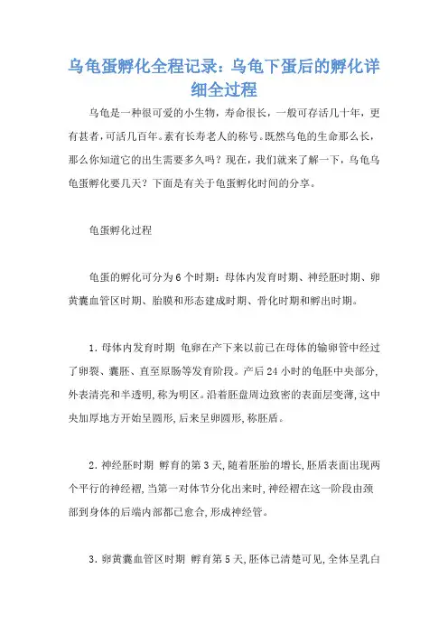 乌龟蛋孵化全程记录：乌龟下蛋后的孵化详细全过程