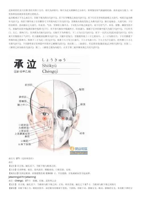 经络：足阳明胃经
