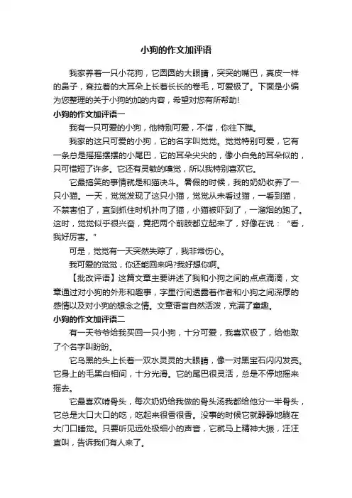 小狗的作文加评语