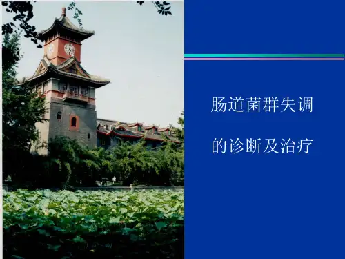 肠道菌群失调
