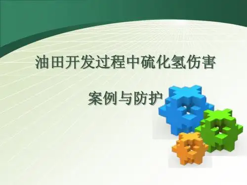 课件---硫化氢中毒案例