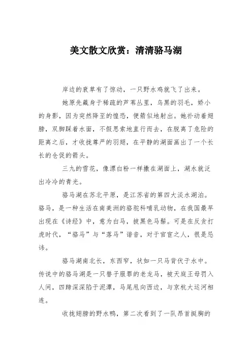 美文散文欣赏：清清骆马湖