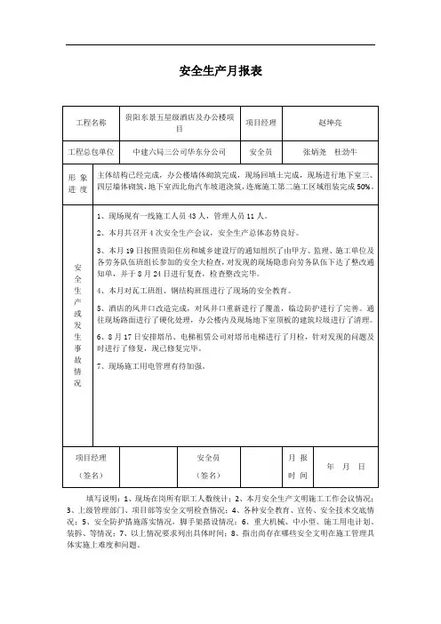 项目安全生产 报表格