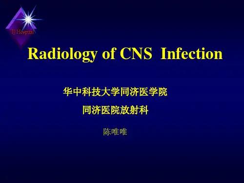 临床医学讲解习题考题脑感染(八年制)-cww-v1(1)