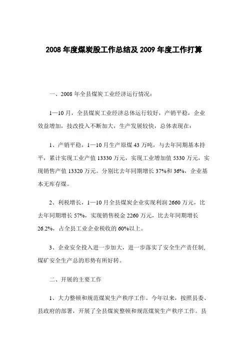 2008年度煤炭股工作总结及2009年度工作打算