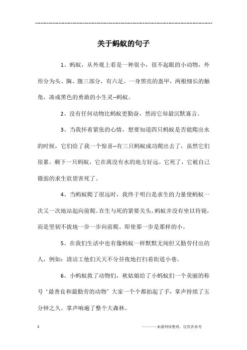 关于蚂蚁的句子