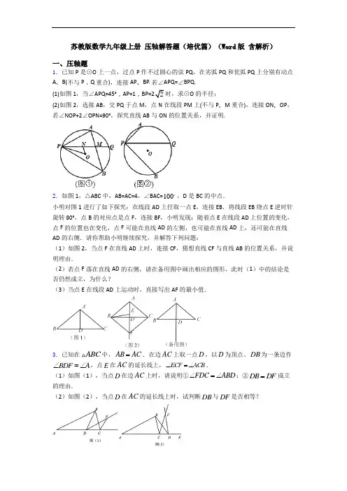 苏教版数学九年级上册 压轴解答题(培优篇)(Word版 含解析)