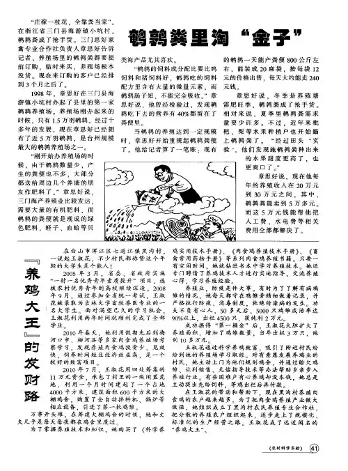 “养鸡大王”的发财路