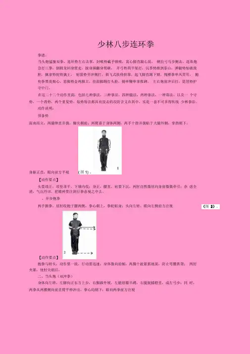 少林八步连环拳讲解
