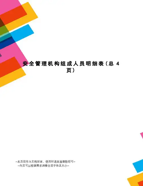 安全管理机构组成人员明细表