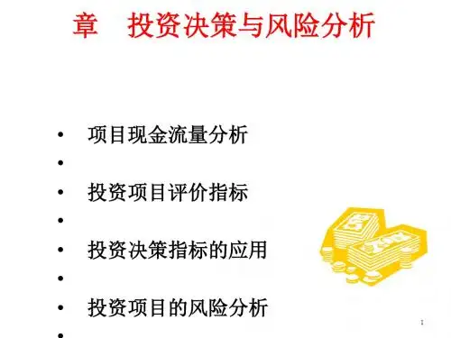 投资决策与风险分析课件(PPT 39张)