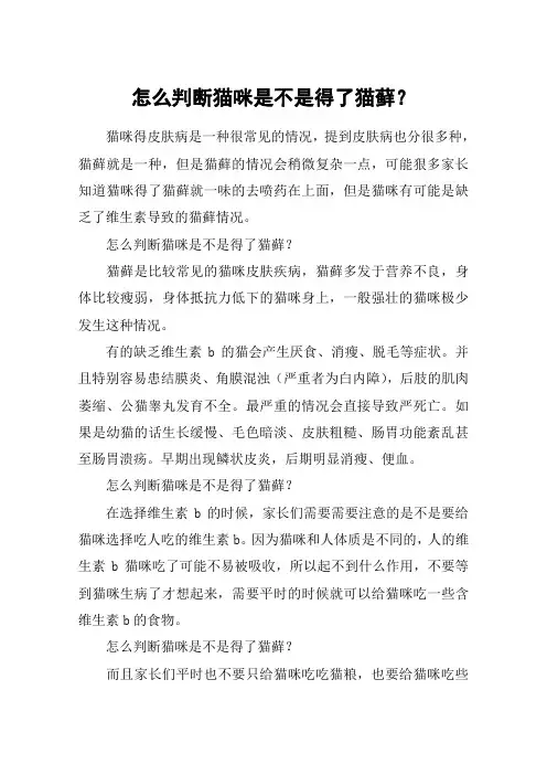 怎么判断猫咪是不是得了猫藓？