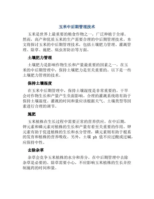 玉米中后期管理技术