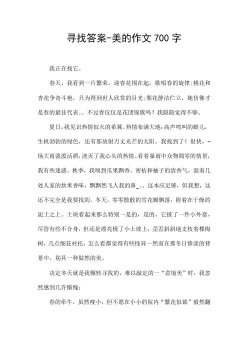 寻找答案-美的作文700字