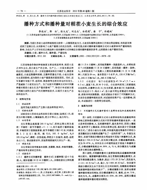 播种方式和播种量对稻茬小麦生长的综合效应