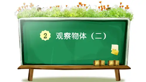 人教版四年级下册数学《观察物体》PPT优质教学课件