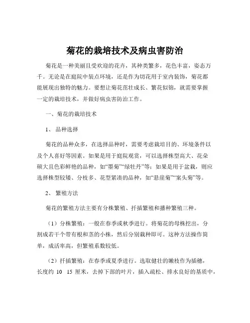菊花的栽培技术及病虫害防治