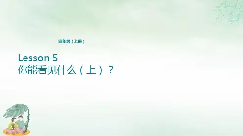 四年级上册英语-Lesson 5 你能看见什么PPT课件？ 科普版