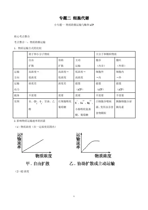 高三生物复习学案：专题2 细胞代谢1 物质跨膜运输与酶和ATP