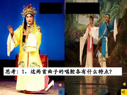 地域文化与城市发展PPT课件