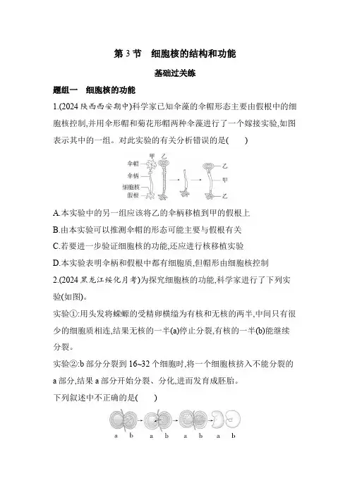 人教版高中生物必修1第3章细胞的基本结构第3节细胞核的结构和功能基础练含答案