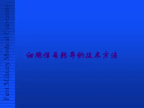 细胞信号转导的技术方法