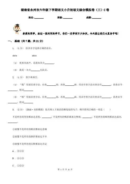 湖南省永州市六年级下学期语文小升初语文综合模拟卷(三)C卷