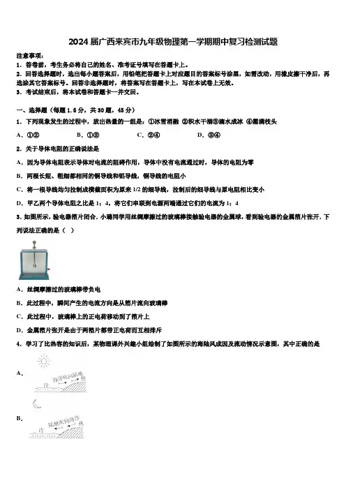 2024届广西来宾市九年级物理第一学期期中复习检测试题含解析