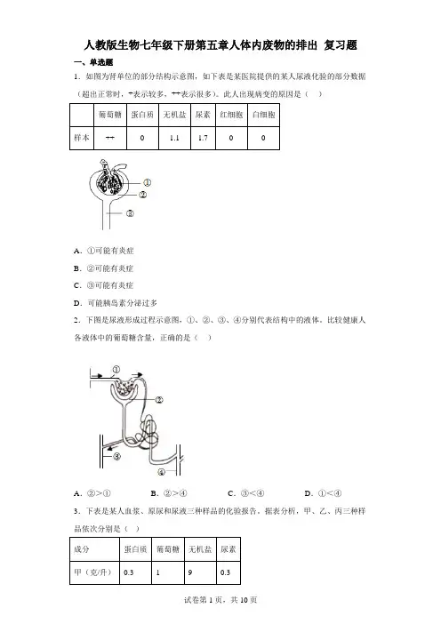 人教版生物七年级下册第五章人体内废物的排出 复习题