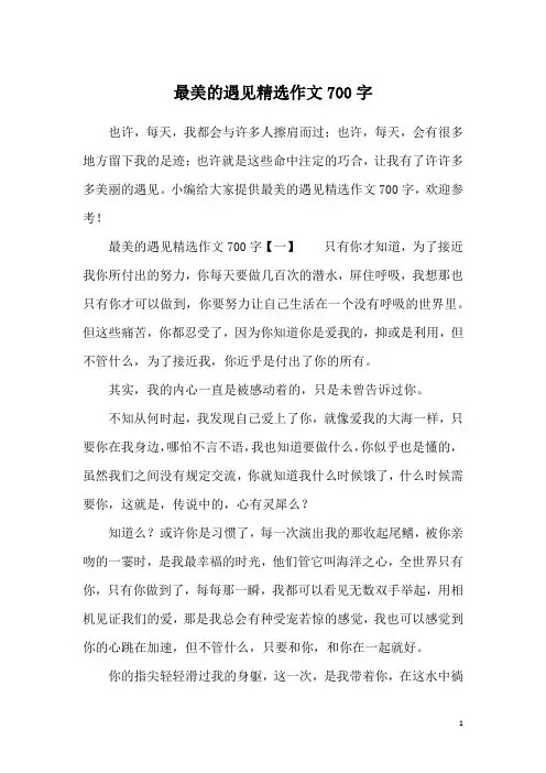 最美的遇见精选作文700字
