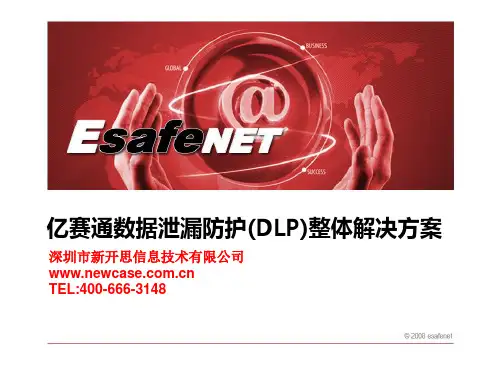 亿赛通数据泄漏防护(DLP)整体解决方案V1.2
