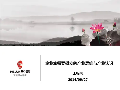 王明夫产业思维与产业认识