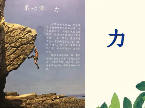 人教版物理八年级下册第七章单元复习力课件