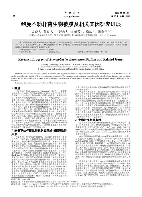 鲍曼不动杆菌生物被膜及相关基因研究进展