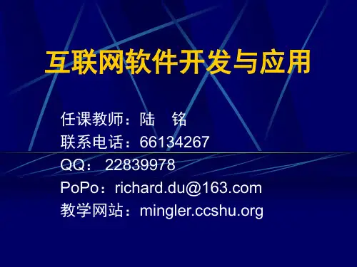 互联网软件开发与应用(精)