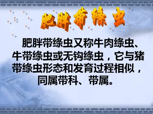[寄生虫学] 肥胖带绦虫