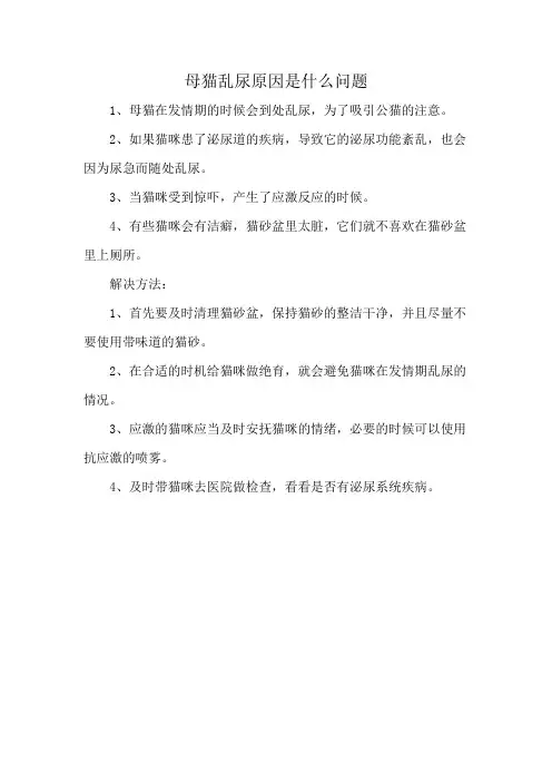 母猫乱尿原因是什么问题